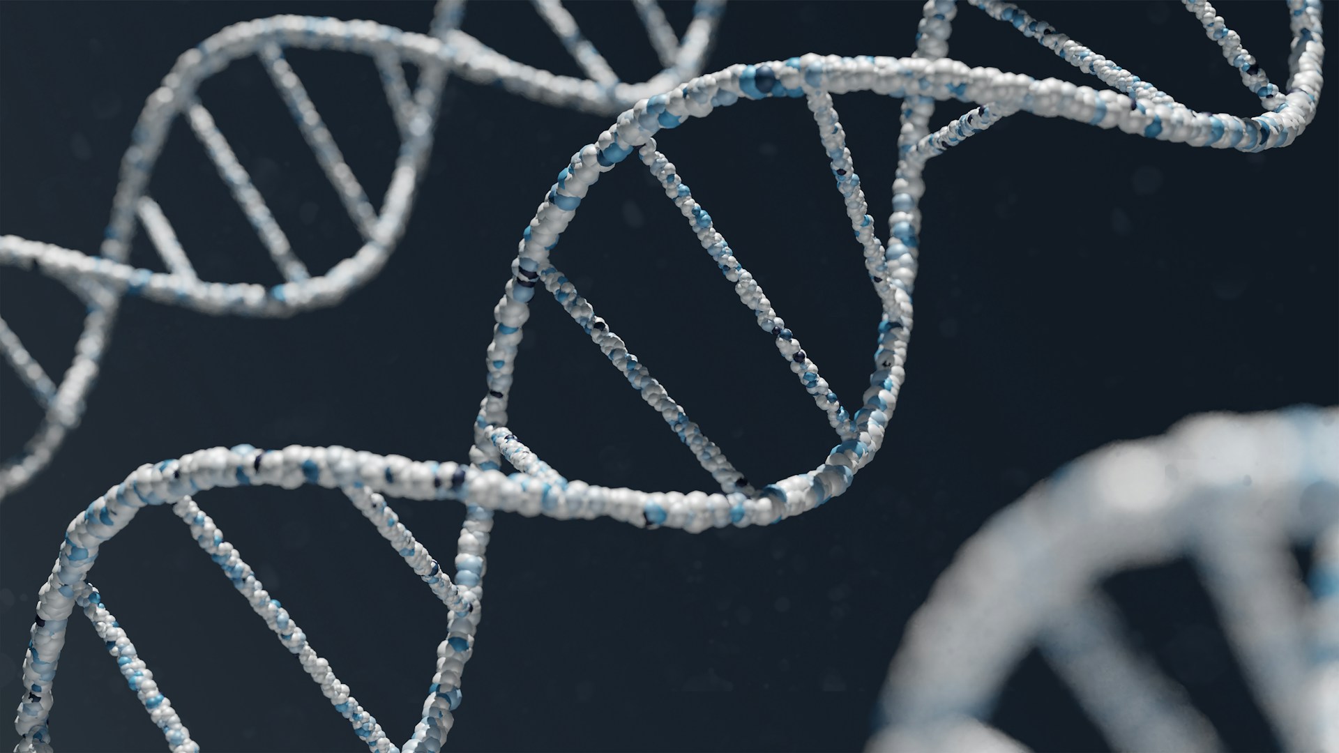 Computer-rendered DNA double helices in pale blue and white, crossing a dark field and falling away out of focus